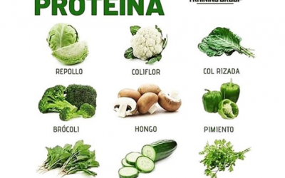 ¿Para que sirven las proteínas los carbohidratos y cuales son mejores?