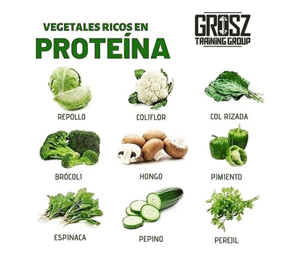 ¿para Que Sirven Las Proteínas Los Carbohidratos Y Cuales Son Mejores Groszemk 7116